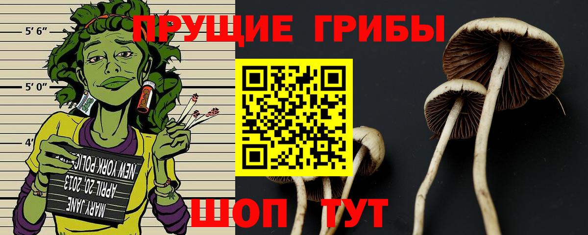 Галлюциногенные грибы MAGIC MUSHROOMS Дедовск